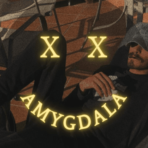 Amygdala