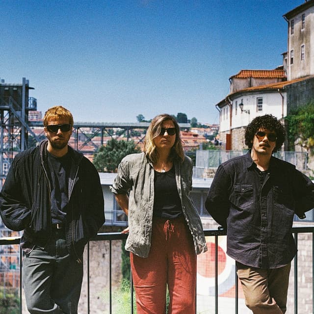 Sunflowers @ Les Aralunaires