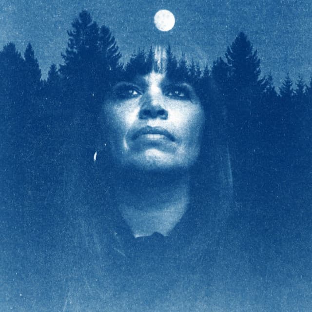 Lady Linn & Her Magnificent Seven