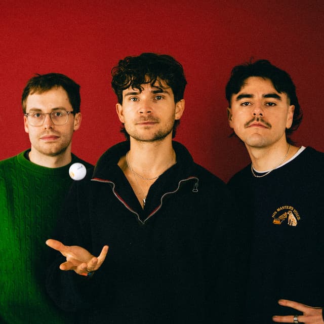 DUTCH CRIMINAL RECORD