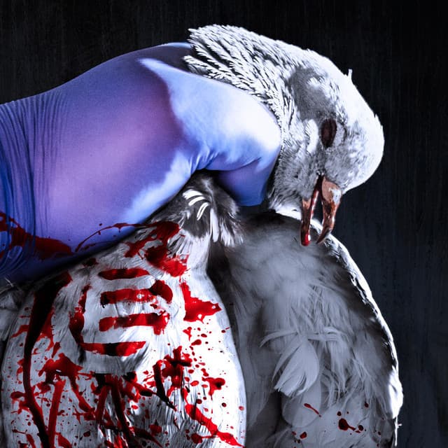 Napalm Death @ Hellfest