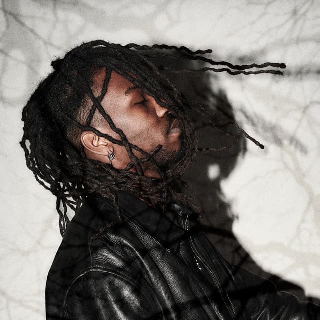 White Corbeau @ Les Aralunaires