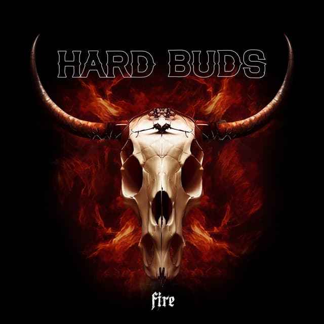 Hard Buds @ Festival Zeeltje