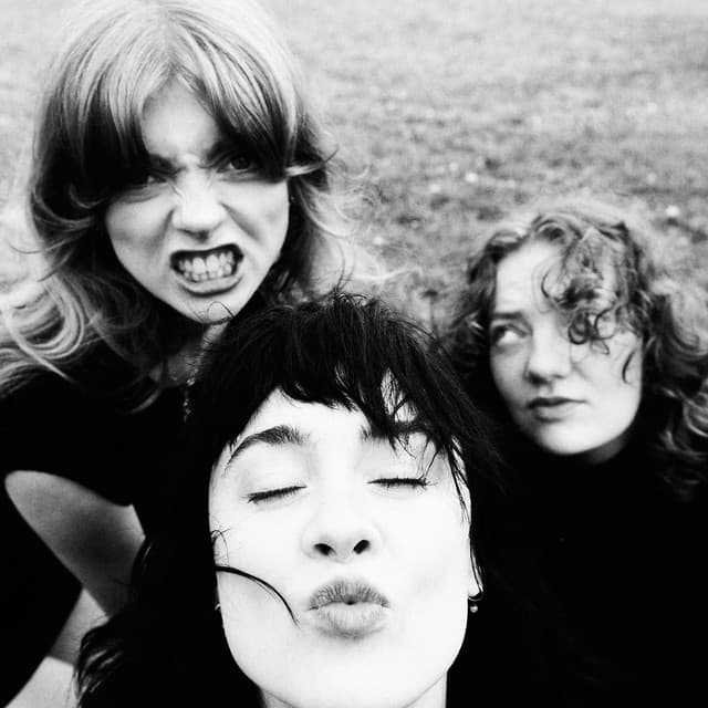 Folk Bitch Trio