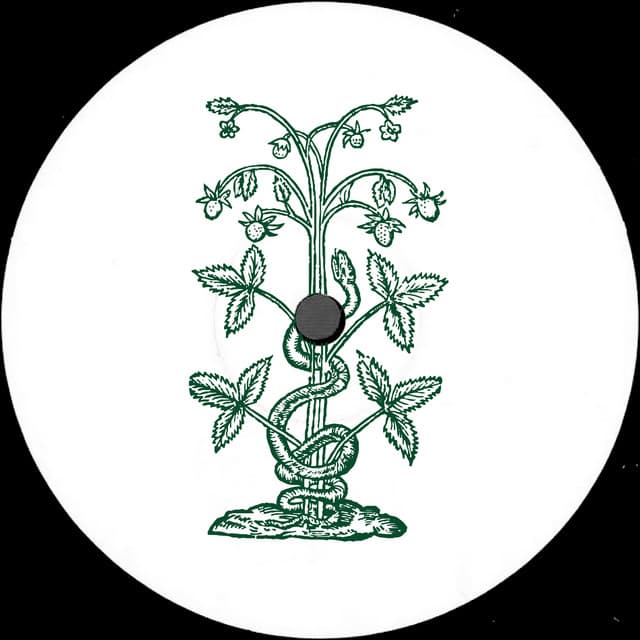 Blasha & Allatt @ Tomorrowland