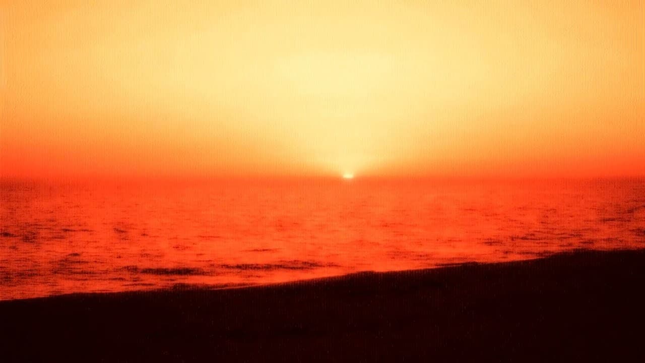 Verknipt Beach Special