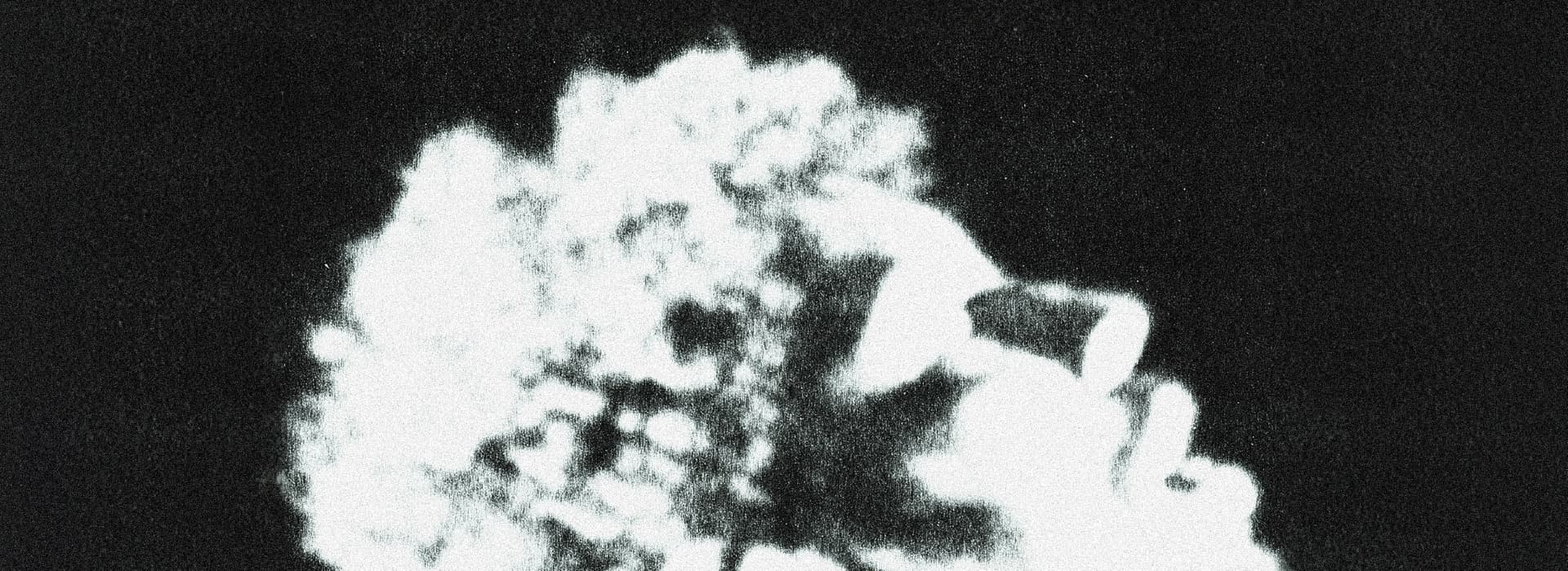 Disiz @ Festival du Roi Arthur