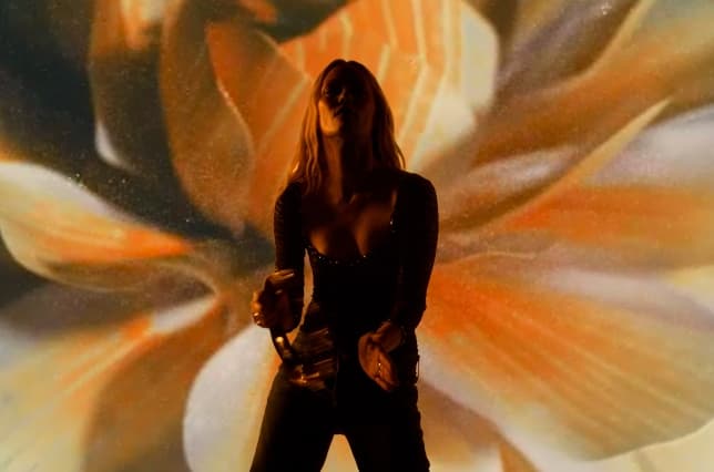 Vanessa Paradis @ La Nuit de l'Erdre